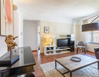 Charming Air-conditioned Apartment Downtown Aix